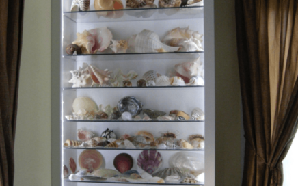 custom shell cabinet